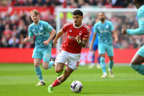 日尔曼获得 日尔曼获得